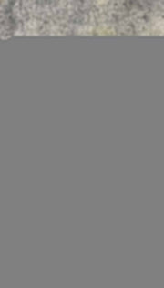 Chándal Lacoste (nuevo) "Baja calidad"